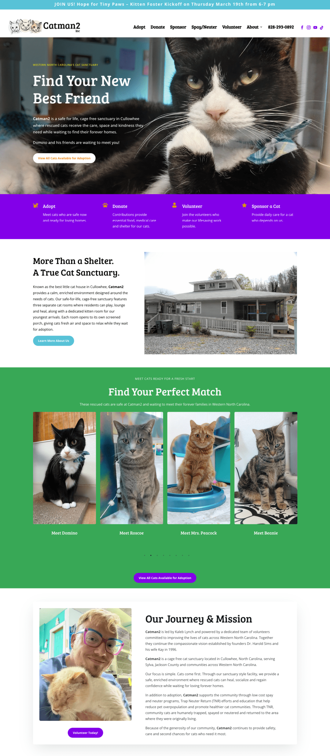 New-Catman2-screenshot-1-1080x2814 Apex Pharmacy Consulting by Kane Design